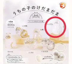☆うちの子のけだまだま☆ハチワレ 新品未使用 正規品