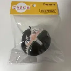 WIND BREAKER ウィンブレ ころまにあ 桜遥