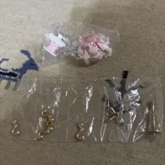 Capsuleトルソー アイカツ！ オーロラキスコーデ