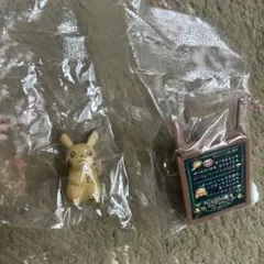 ポケモン　ピカチュウの木漏れ日カフェ　カフェへようこそ　リーメント