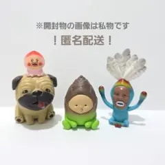 ① こびとづかん おすわりマスコット4 シークレット含 3点セット ガチャガチャ