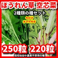 ※購入前にプロフ読んでね※ ミリー様 リクエスト 2点 まとめ商品