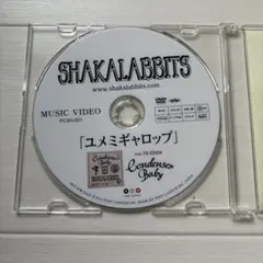 非売品！SHAKALABBITS ユメミギャロップ DVD