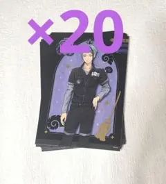 20장 트위스트 제이드 리치 엽서 운동복 옥타비넬