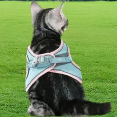 水色✨ 子猫 リード ハーネス ハーネスリードセット 脱走防止 猫用ハーネス