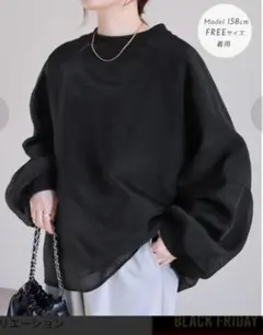 reca♥オーガンジー重ねラグラン裏起毛プルオーバー♥スウェット　シアー