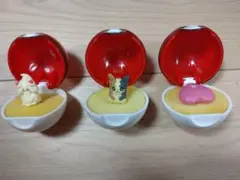 ポケモンキッズ リングマ クリア - メルカリ