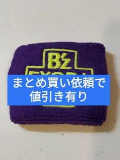 2026年最新】国内アーティスト：B'z ミュージシャン ラバーバンドの
