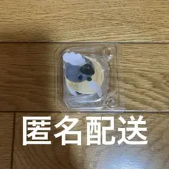 シルバニアどきどきコレクションミルキーウェイ ほしぞらネコの小さい赤ちゃんレジー