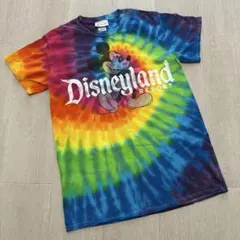 ディズニーランドリゾートのサムネイル