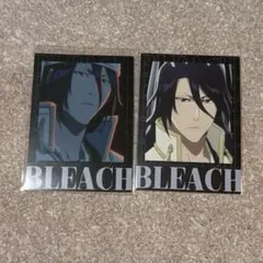 TVアニメ BLEACH 千年血戦篇 インスタントフォト風ブロマイド 朽木白哉