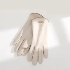 手袋　レディース　タッチパネル対応　プレゼント　ギフト　フリース　大人　女性