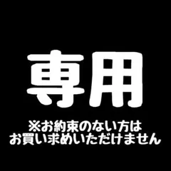 Sho-hey様 リクエスト 2点 まとめ商品