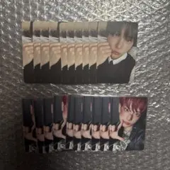 &TEAM HARUA ハルア　20枚セット