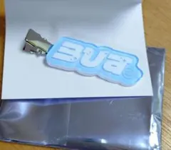 専用　すとふぇす2026 めておら　 ヘアクリップ