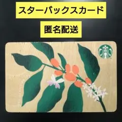 スターバックスカード スターバックス カード 残0 板 木 木製 PIN未削り