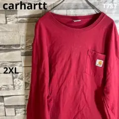 carhartt/カーハート/ロングスリーブTシャツ/ロンT/雰囲気◎/T787