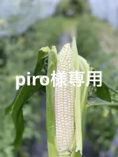 piro様専用です