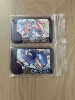 ポケモンフレンダ　ベストタッグ カイオーガ　ボーマンダ　セット