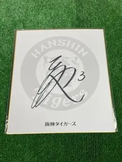 阪神タイガース　大山悠輔　直筆サイン色紙