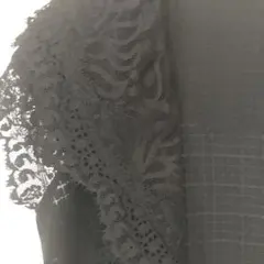 素敵なレースのサムネイル