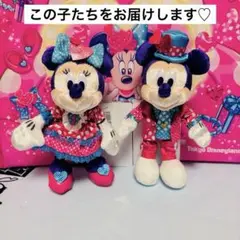 【匿名配送】　パルパルーザ　ぬいぐるみバッジ　ミニーのファンダーランド　2026