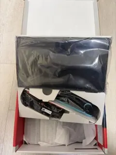 Nintendo Switch 2 日本語専用