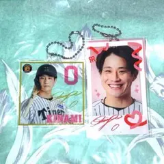 Item thumbnail for item 5f83972e-64c8-4d4b-84ae-dc0dcabf723d