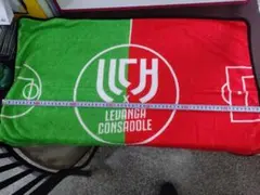 Item thumbnail for item f8772660-f623-4014-8aaa-74e40a1fb853