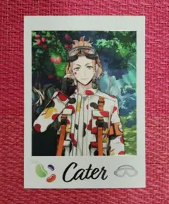 ディズニー　ツイステ展　ランダムカードコレクション　イベント衣装　ケイト