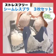 新品　シームレスブラ ノンワイヤー　5L 3枚 大きいサイズ 人気 ナイトブラ