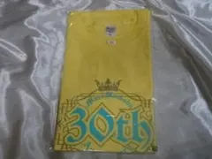 新品未使用】浜田麻里/ 30thアニバーサリーライブツアー公式Tシャツ/赤