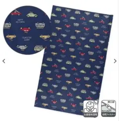 Item thumbnail for item c3b2fc4c-4ce1-4967-b9d9-6f92fd506447