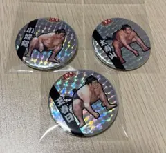 【大相撲】歴代親方 100周年 キラキラ缶バッジ　日本相撲協会