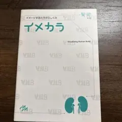 イメカラ Visualizing Human Body