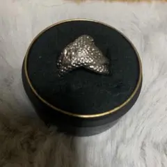 FAVORITE JEWEL プラチナ900pt シルバーリングのサムネイル