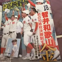智弁和歌山 ベースボールシャツ 2025年最新】Yahoo!オークション -智辯和歌山の中古品・新品・未