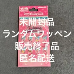 【未開封】パルパルーザ ミニーのファンダーランド ワッペンアクセサリー