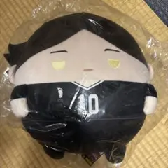 ハイキュー‼︎ ふわコロりん BIG 角名倫太郎