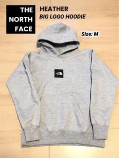THE NORTH FACE BIG LOGOパーカー NT61821R / M