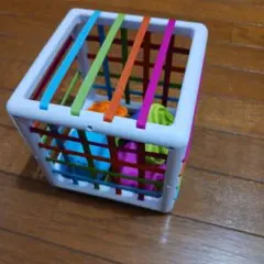 ファットブレイン