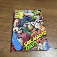 週刊少年ジャンプワンピース2022年42号表紙『太陽の神 ニカ - メルカリ