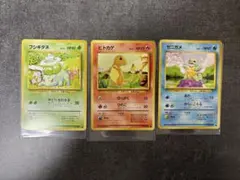 美品 旧裏 フシギダネ ヒトカゲ ゼニガメ 御三家 ポケモンカード