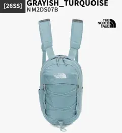 ［正規品]THE NORTH FACE ノーズフェイスMini Backpack