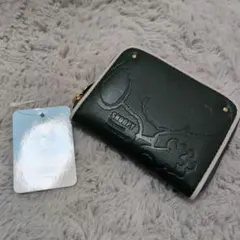 Item thumbnail for item 81f6025f-9e05-46fd-96b4-0c9c8c1cf1f9