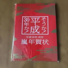 30歳のバースディ 高市早苗 - メルカリ