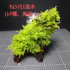 dadada様 リクエスト 3点 まとめ商品