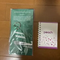 Item thumbnail for item 0ee2485a-16fc-4949-89b2-2348e397e287