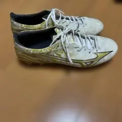 Item thumbnail for item 232030dc-bb7e-4377-9e30-b7d4fabb45f4