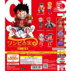 ワンピース ワンピの実 第一海戦 第二海戦 開封品 シュリンク付き